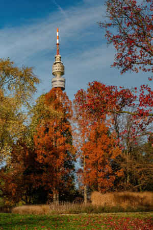 Fall trees landscape in vibrant colors, Autumn season.の写真素材