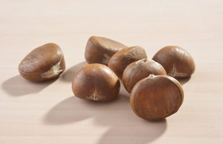 Chestnutの写真素材