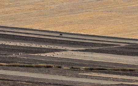 Western Sichuan Plateauの写真素材