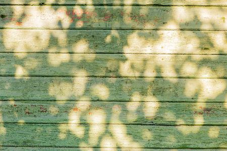 Empty green wathered old wooden table background texture with sunlight on surface, top view.