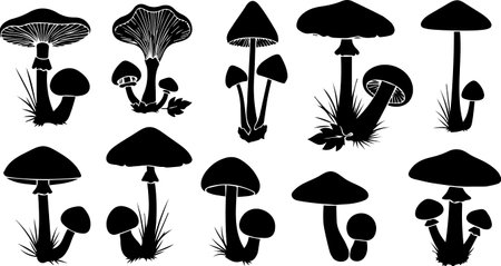 A diverse collection of black silhouette mushrooms with various shapes and sizes on white.のイラスト素材