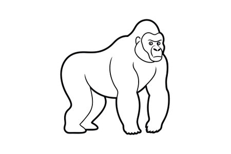 Gorilla vector illustration. Wild animal. Black and white.のイラスト素材