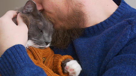 Peoples love for pets. A bearded man hugs his gray cat wearing a brown sweater that his owner...