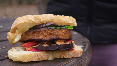Delicious vegan burger made from plant-based meat substitute. Vegetables and a burger patty are grilled in the backyard. A juicy burger lies on a wooden table outside in the park.の写真素材