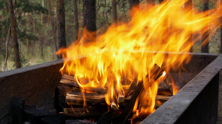 Close-up of a fire in the forest, ignited logs flare up in a fire place. Outdoor recreation with a...