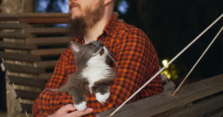 Traveler petting furry cat and hugs. Millennial man holds his cat in arms and swing in wooden...