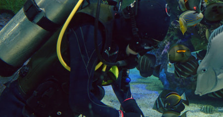 Professional scuba diver navigating vibrant coral reef environment, releasing steady stream of air bubbles while colorful marine creatures swim surrounding underwaterの写真素材