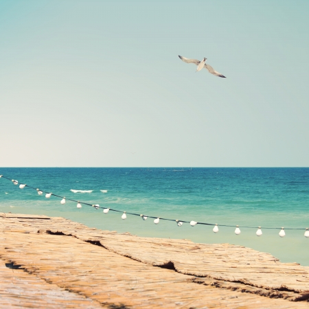Summer sea sight with seagullの写真素材