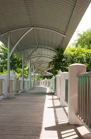 Wooden Bridge next to a Jungleの写真素材