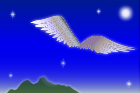 Vector Wings Flying in Nightのイラスト素材