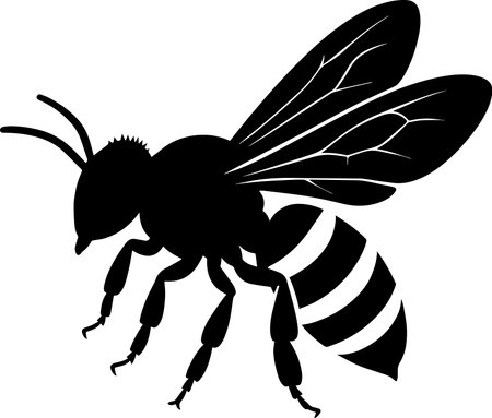 Bee - Black Silhouette Illustration Isolated on White Backgroundのイラスト素材