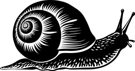 Snail.Mollusk.Vector illustration ready for vinyl cutting.のイラスト素材