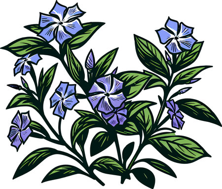 Blue Periwinkle flowers. Vector illustration ready for vinyl cutting.のイラスト素材