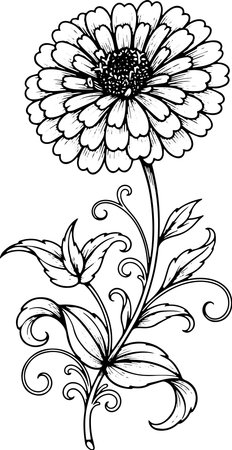 Beautiful chrysanthemum.Vector illustration ready for vinyl cutting.のイラスト素材