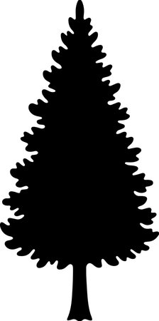 Black silhouette of a pine tree on a white background. Vector illustrationのイラスト素材