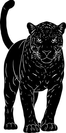 Black and White Panther.Vector illustration ready for vinyl cutting on white background.のイラスト素材
