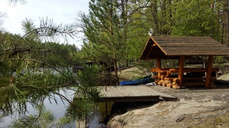 A gazebo to relax in the spring forestの写真素材