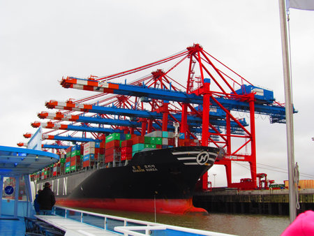 Cargo sea port. Sea cargo cranes. Sea