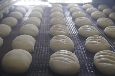 Production of bakery products in a bakery. The baker kneads the dough for baking buns.