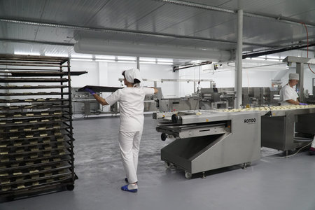 Production of bakery products in a bakery. The baker kneads the dough for baking buns.のeditorial素材