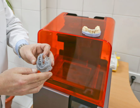 The lower jaw of a man, created on a 3d printer from a photopolymer material. Stereolithography 3D...
