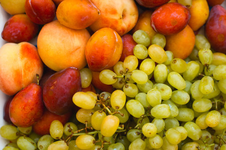 grapes and plumsの写真素材