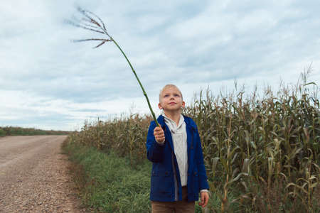 child in corn field leaves holding twigの写真素材