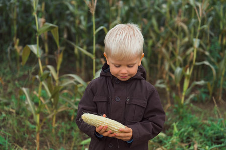 cute happy child in corn field holding corncobの写真素材