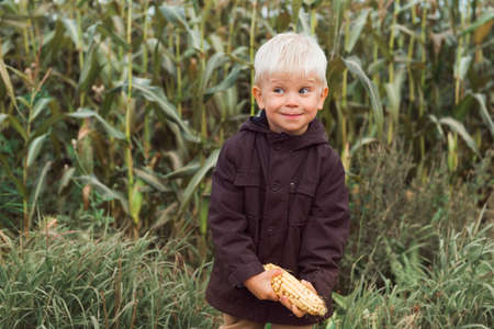 cute happy child in corn field holding corncobの写真素材