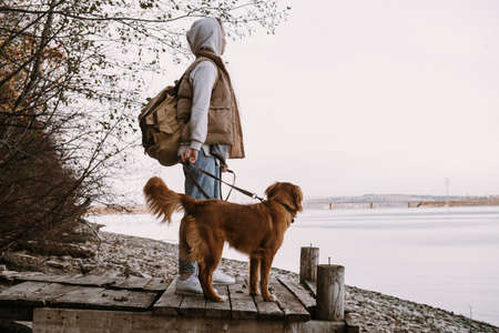young woman and dog retriever walks on river shore at autumn seasonの写真素材