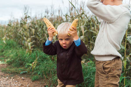 children in corn field having fun, making hornsの写真素材