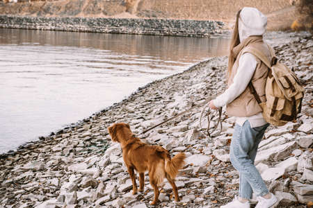 young woman and dog retriever walks on river shore at autumn seasonの写真素材