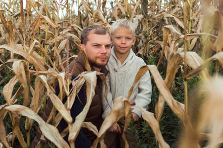 family walking in corn field at autumn, dad and son posing among high plantsの写真素材