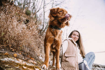 young woman and dog retriever walks on river shore at autumn seasonの写真素材