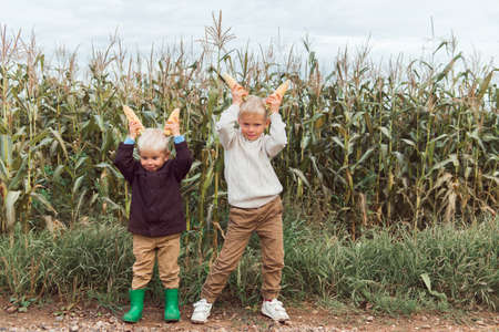 children in corn field having fun, making hornsの写真素材