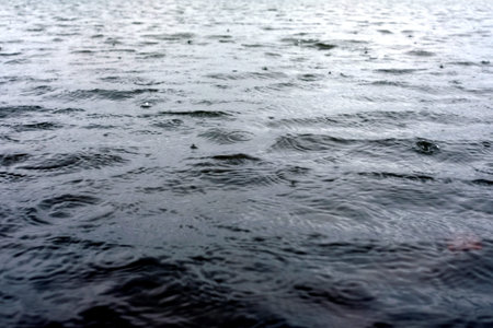 rainy weather - rain drops on water