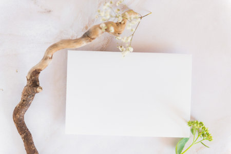empty blank card, wood and flowers white background. Elegant modern mockup flat lay. Copy space.の写真素材