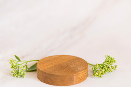 Empty round podium wooden material white background. Product presentation with fresh green plantの写真素材