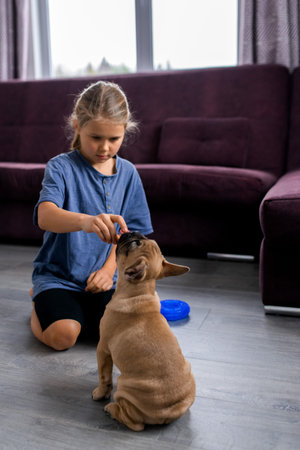 child playing with little dog, girl sitting with french bulldog puppyの写真素材