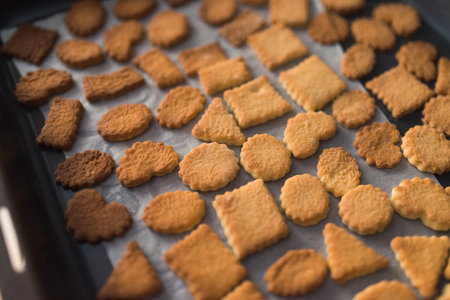 Cooking at home, using modeling splinter, pan with hot cookiesの写真素材