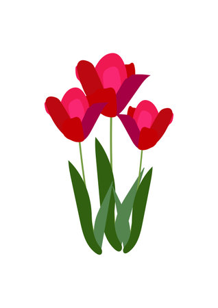 Spring tulips on a white backgroundのイラスト素材