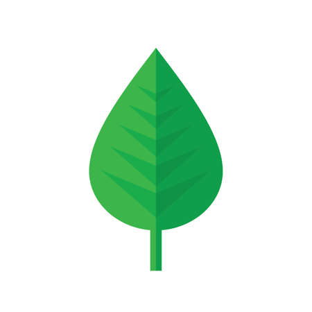 Leaf - green icon graphic design. Nature leaf sign. Vector illustration.のイラスト素材