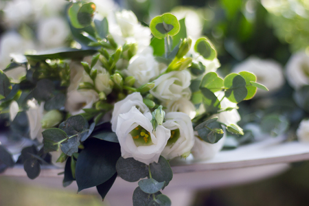 White rosesの写真素材