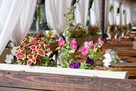 Flowers on street cafe or restarauntの写真素材