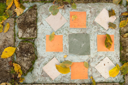 Top view of ground on park - mosaic with the autumn leaves