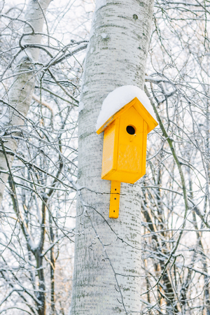 Nesting box on tree covered by snow on cold winter parkの写真素材