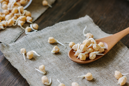 Chickpea sprouts on a wooden spoon over fabric materialの写真素材