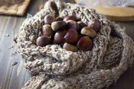 Very cold - frozen chestnuts on warm scarfの写真素材