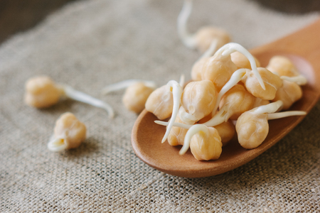 Chickpea sprouts on a wooden spoon over fabric materialの写真素材