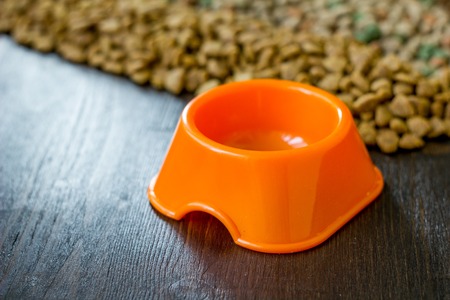 Small orange bowl for pet food and dry food as background.の写真素材
